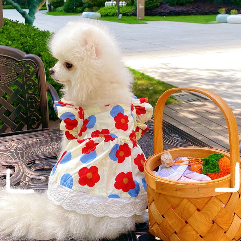 Floral Skirt Dress