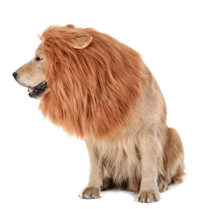 Lion Wig