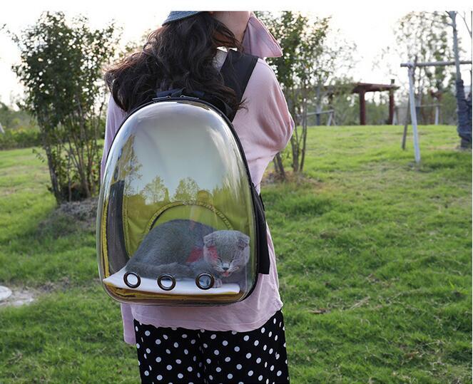 Transparent Backpack