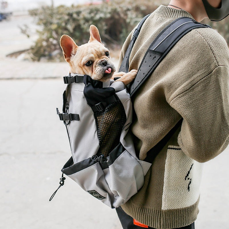 Carrier Backpack