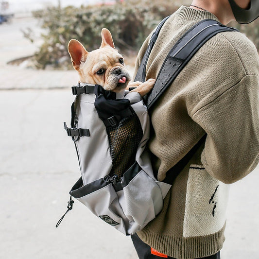 Carrier Backpack