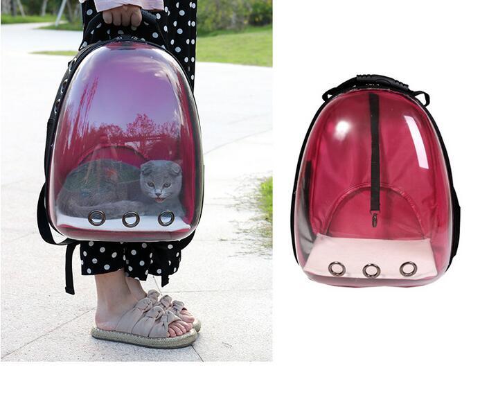 Transparent Backpack