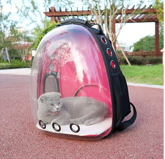 Transparent Backpack