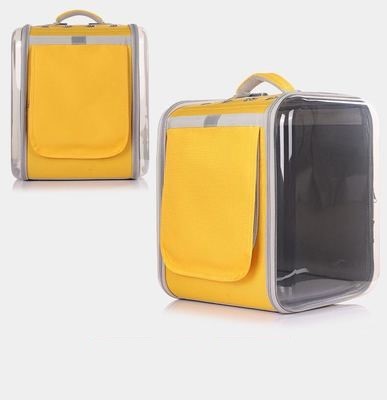 Portable backpack Transparent