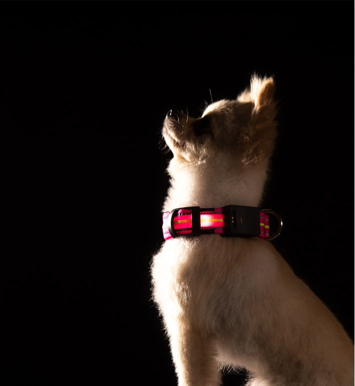 Waterproof Pet Collar