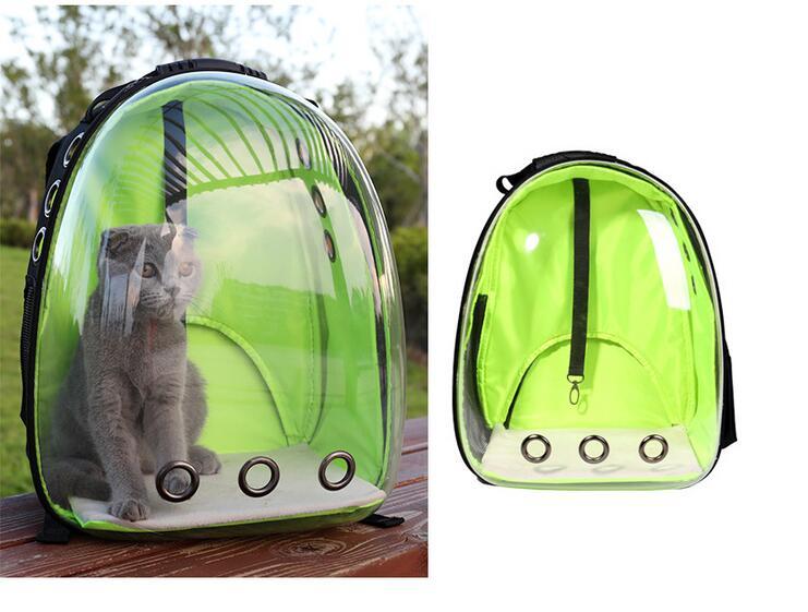 Transparent Backpack