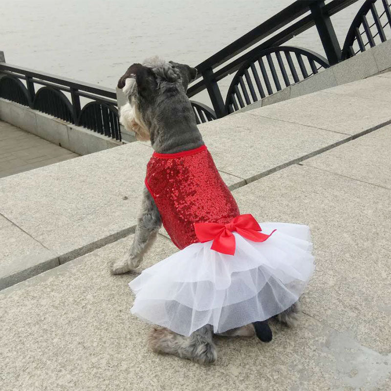 Embroidery Skirt