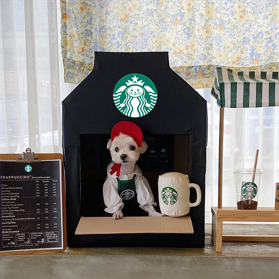 Starbucks Apron