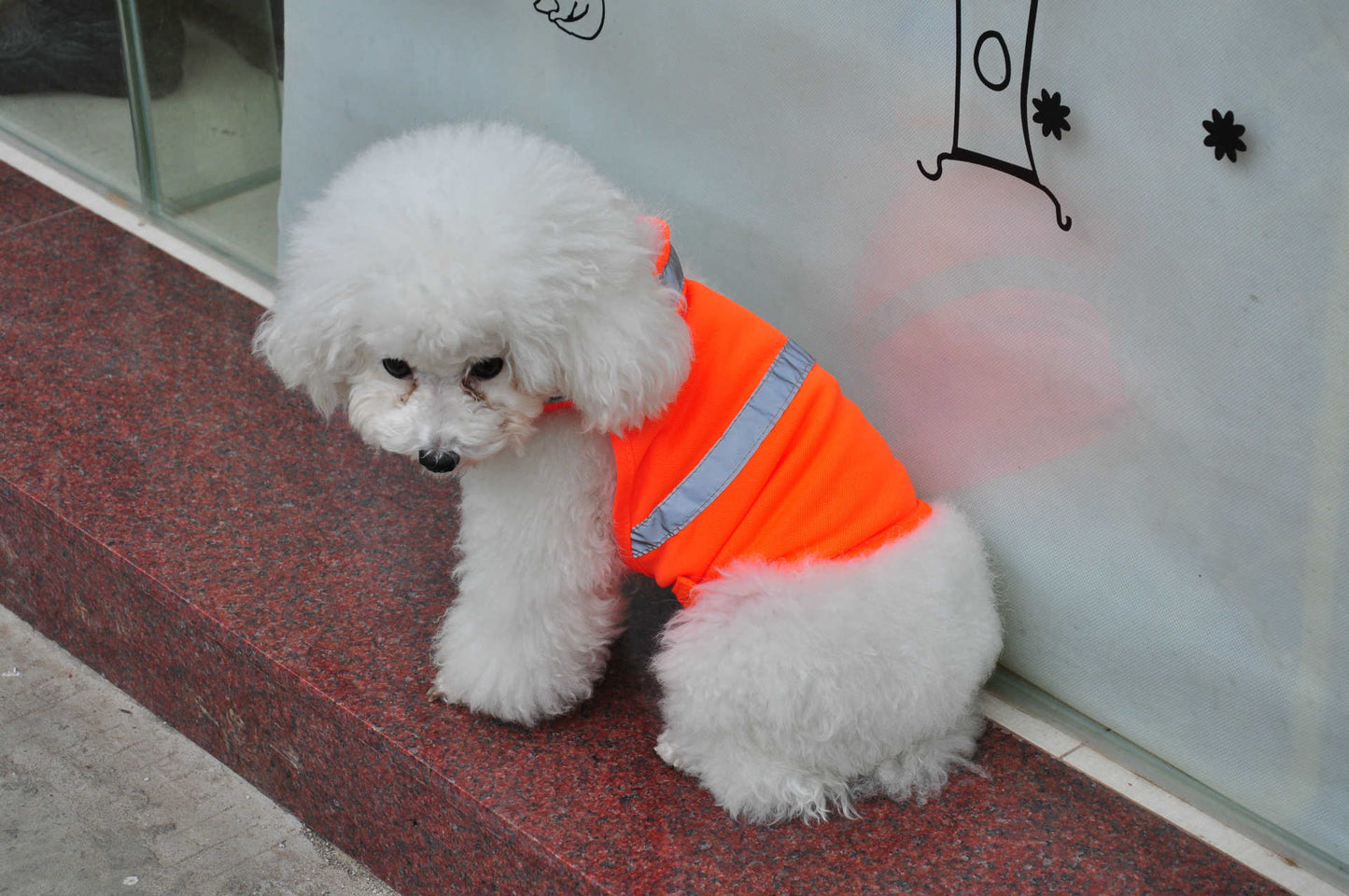 Reflective Safety T-shirt