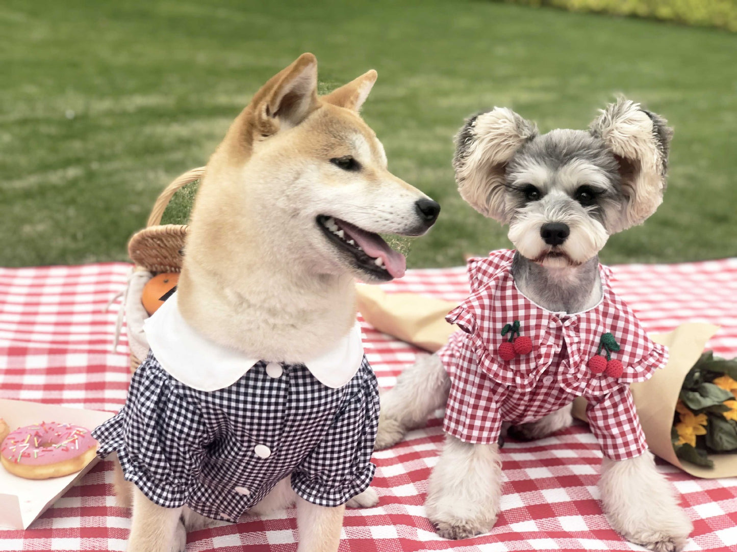 Checkered Shirt