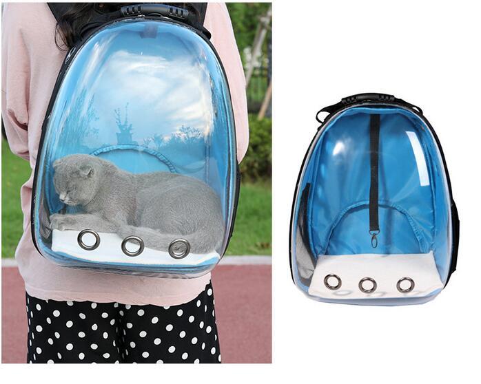 Transparent Backpack