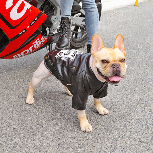 Biker Jacket