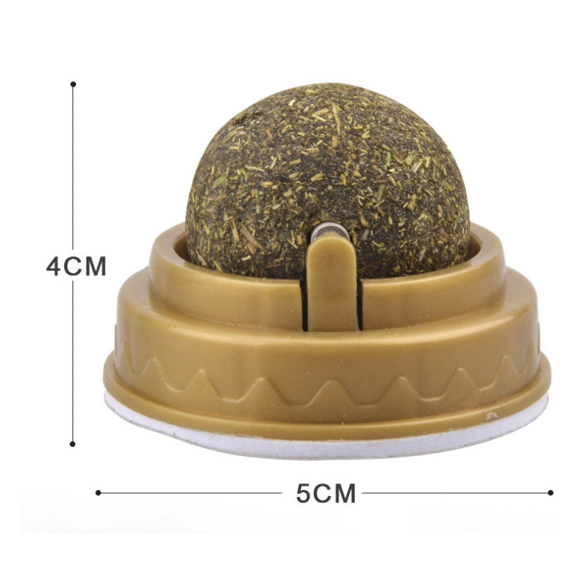 Rotary Molar Teeth Cleaning