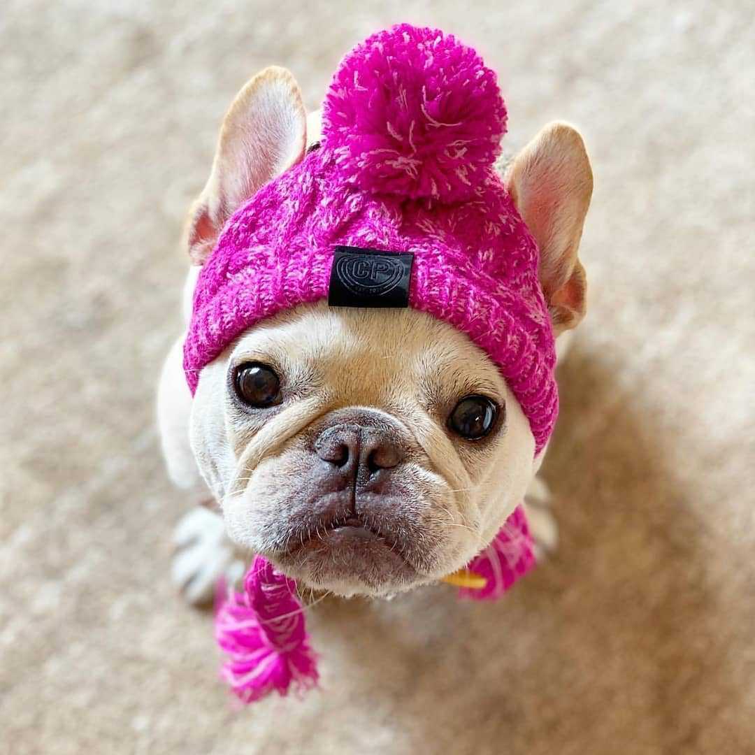 Knitting Hat