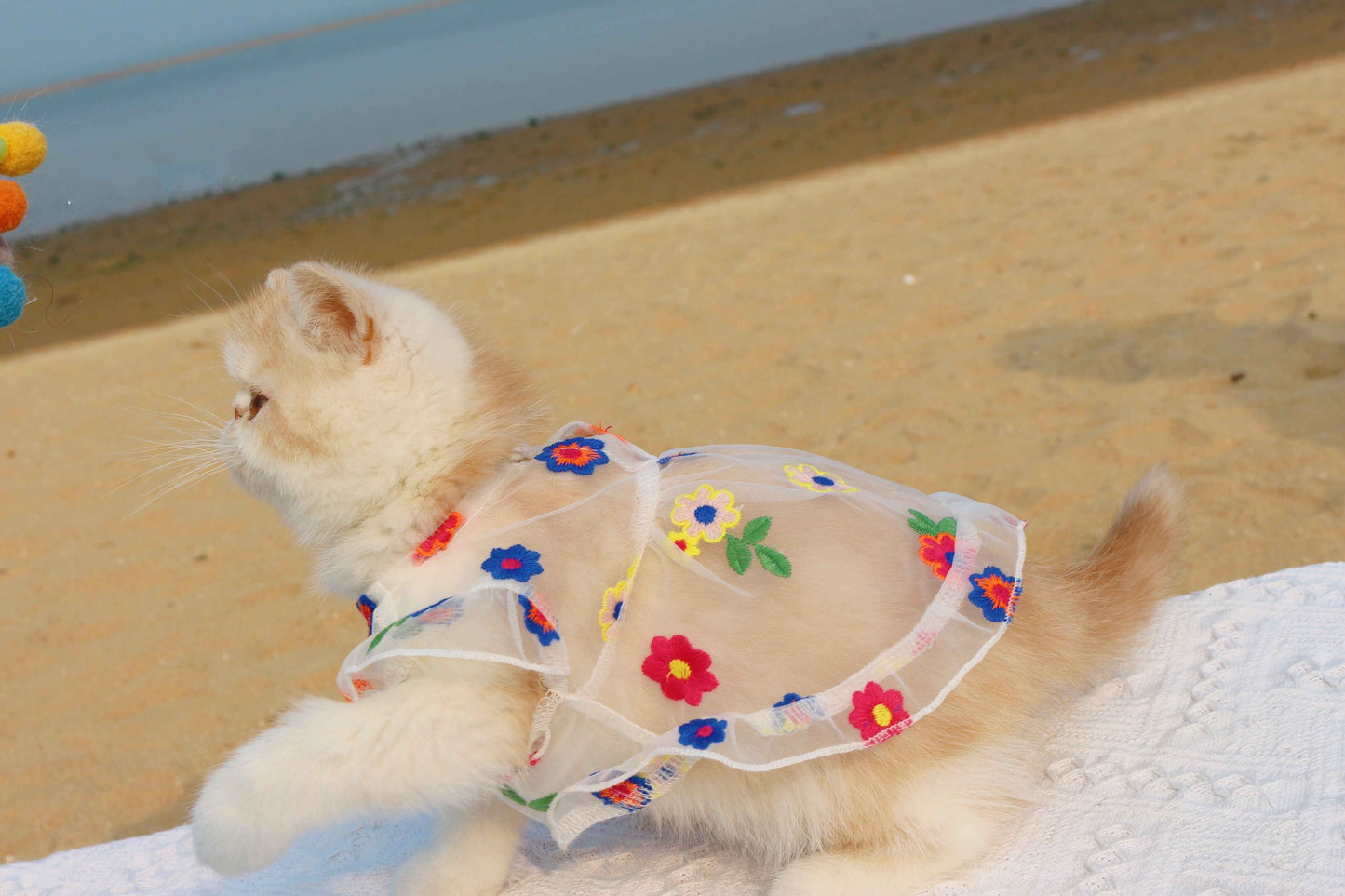 Flower Embroidery Dress