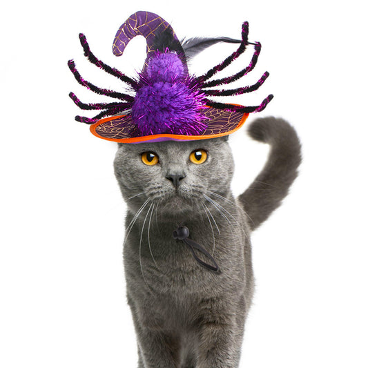 Pet Halloween Hat