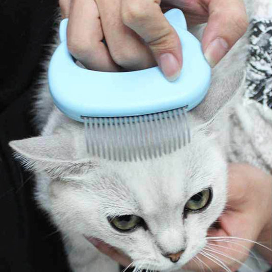 Massage Comb