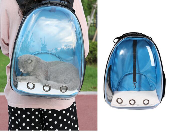 Transparent Backpack