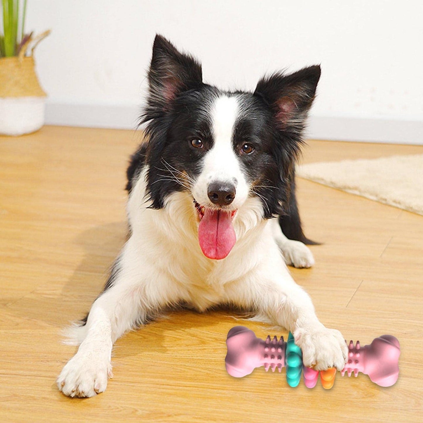 Teeth Cleaning Toys