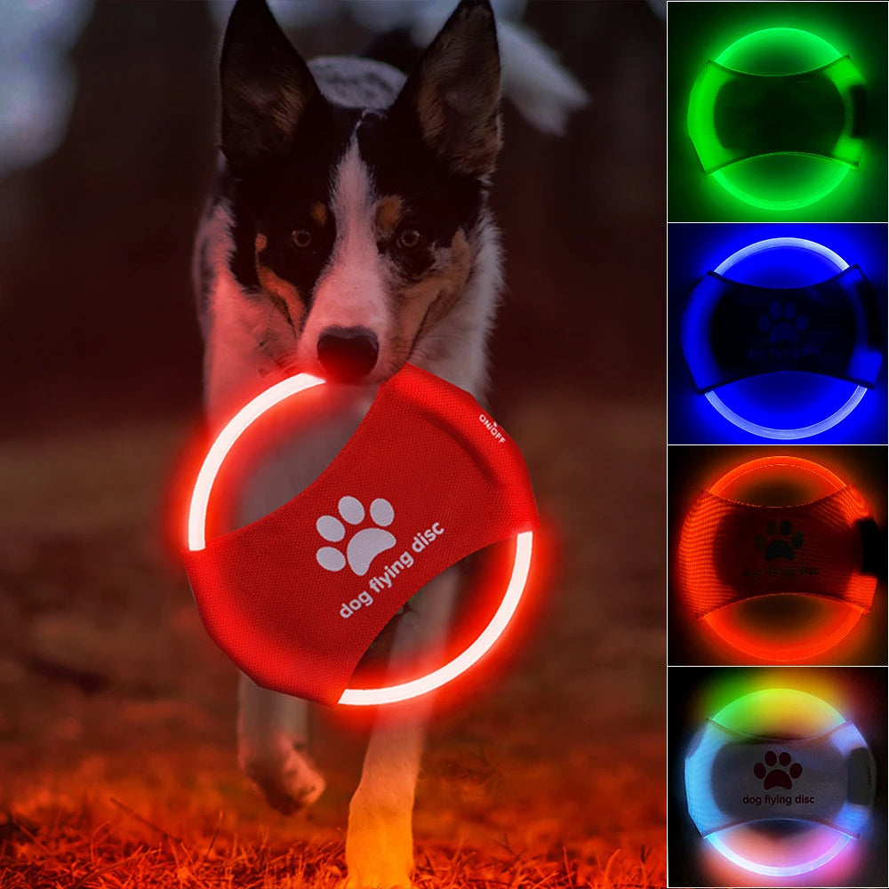 LED Flying Discs