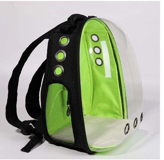 Transparent Backpack