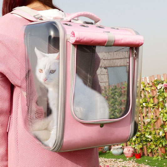 Portable backpack Transparent