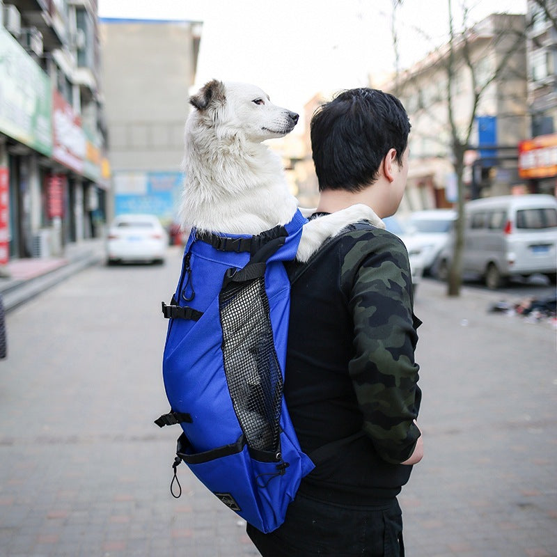 Carrier Backpack