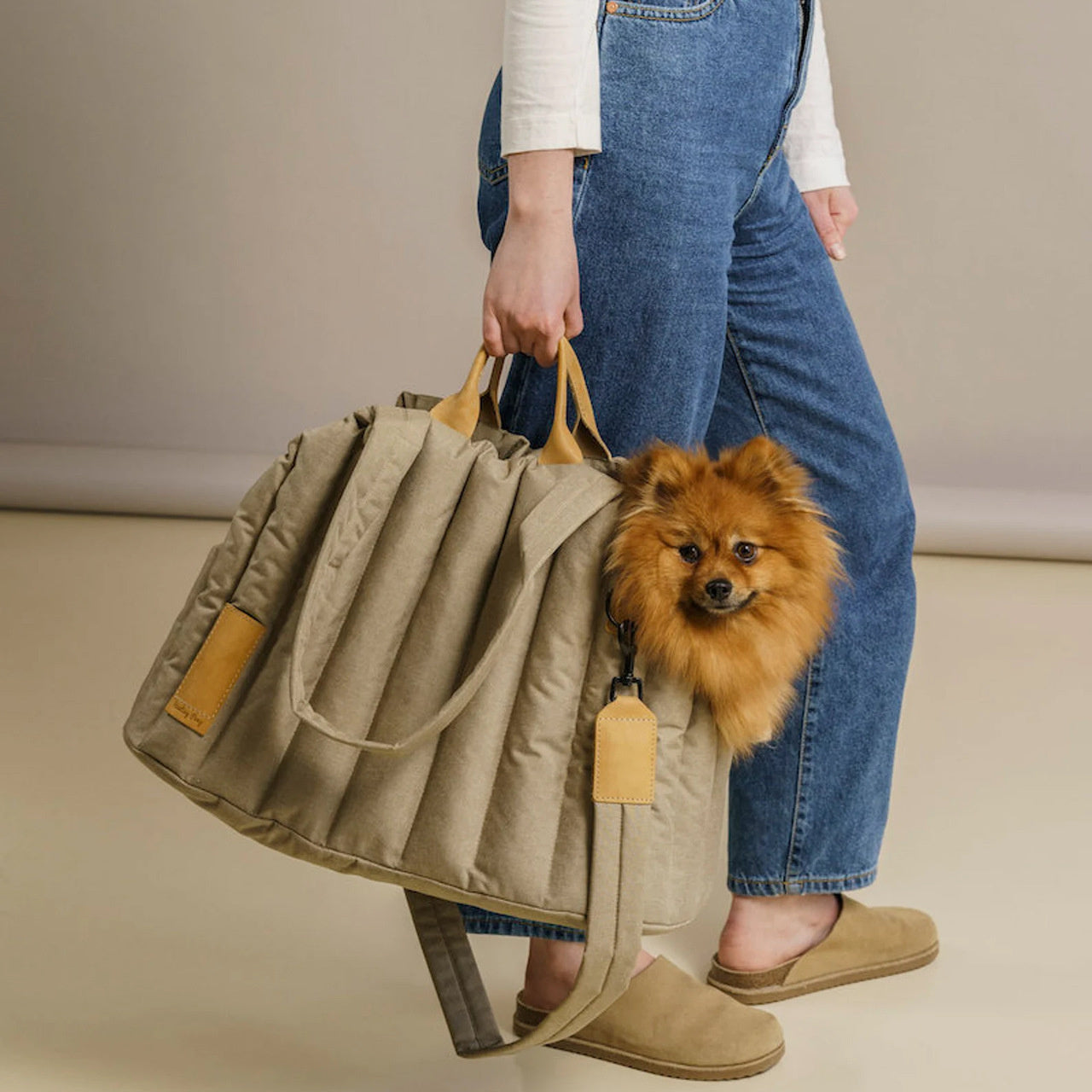 Pet Carrier Light Waterproof Handbag