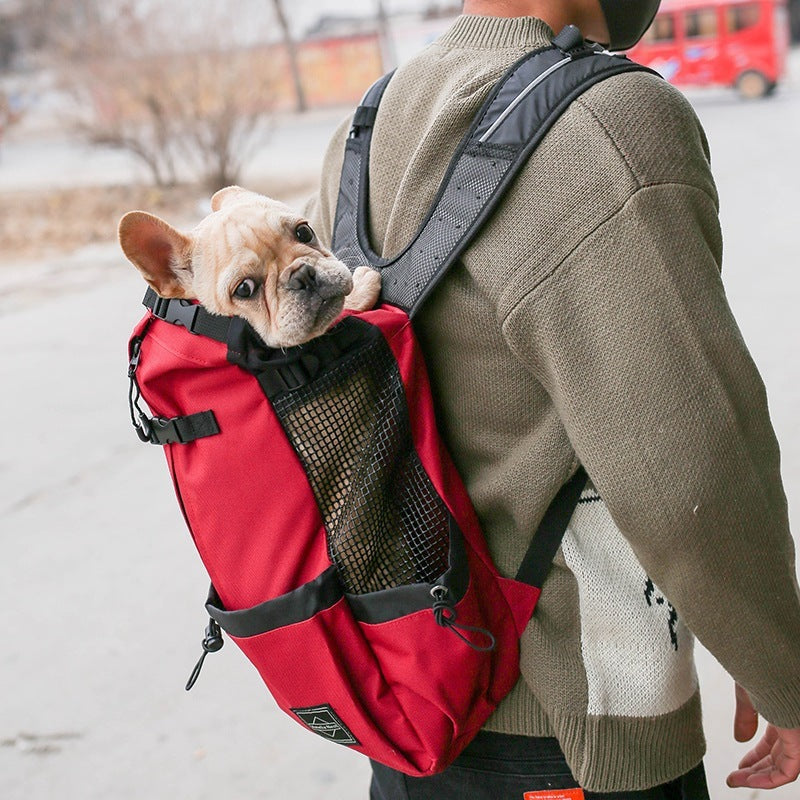 Carrier Backpack