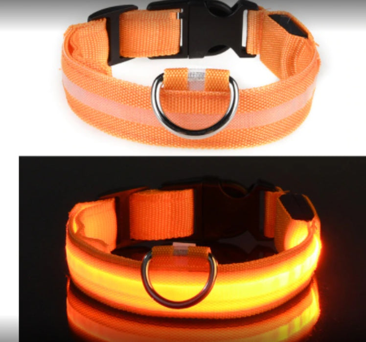 Waterproof Pet Collar