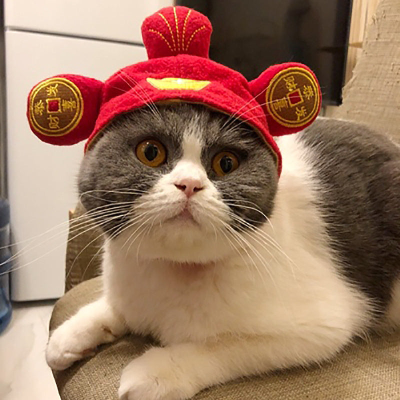 Curly Hair Pet Hat