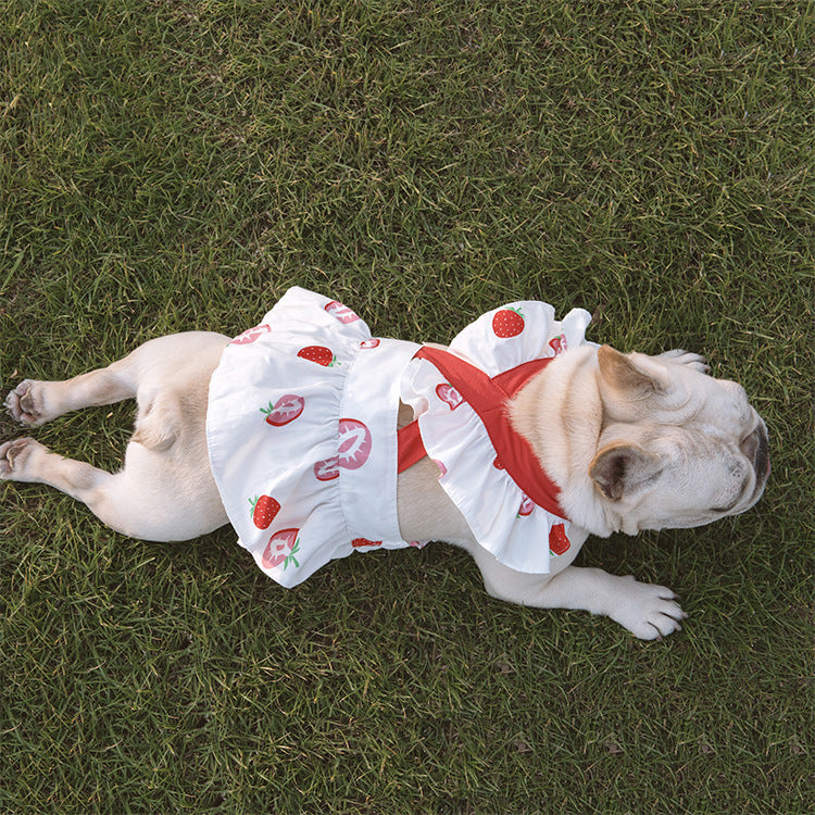 Strawberry Skirt