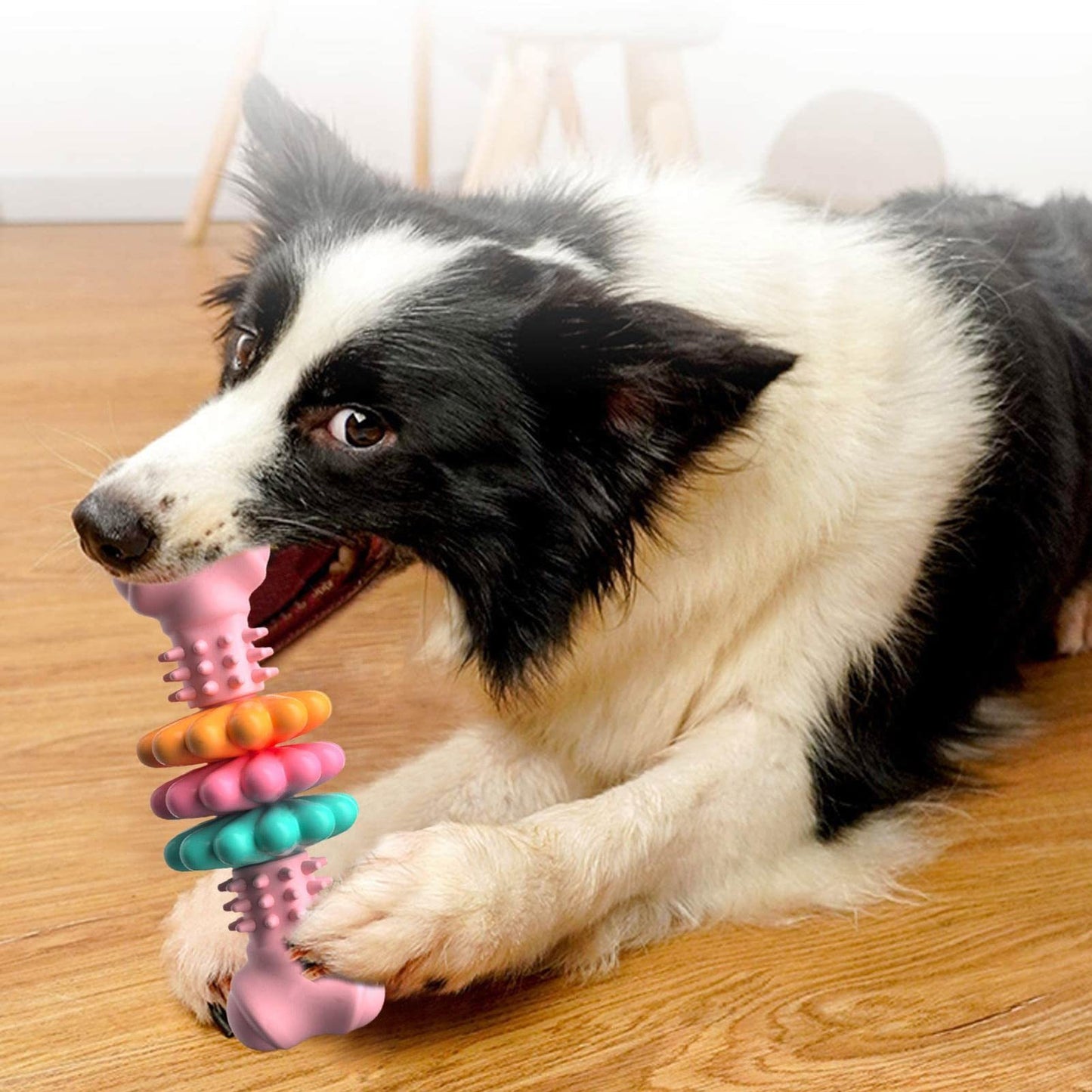 Teeth Cleaning Toys