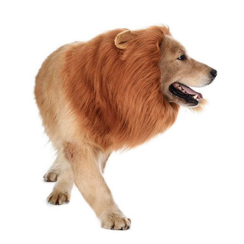 Lion Wig