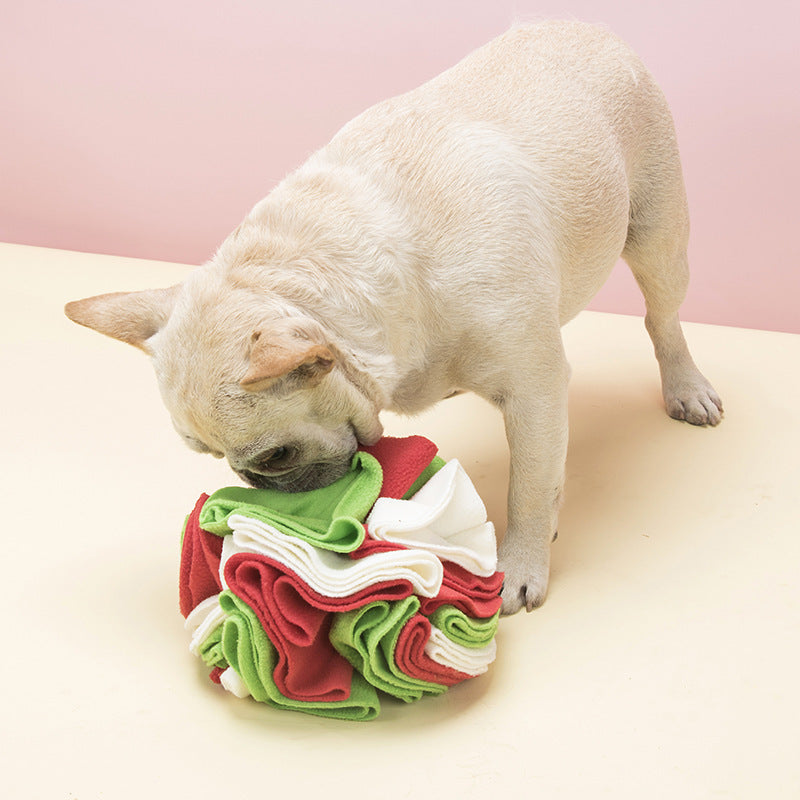 Blanket Snuffle Ball Mat